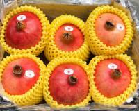 Mút màu vàng bọc lựu Peru